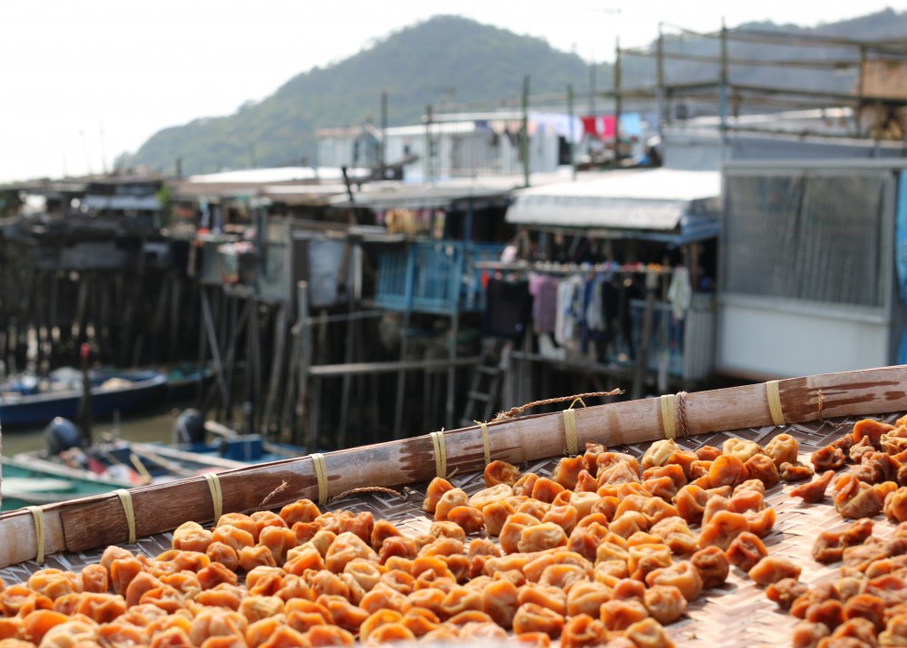 Hong Kong Tai O dried Kumquat